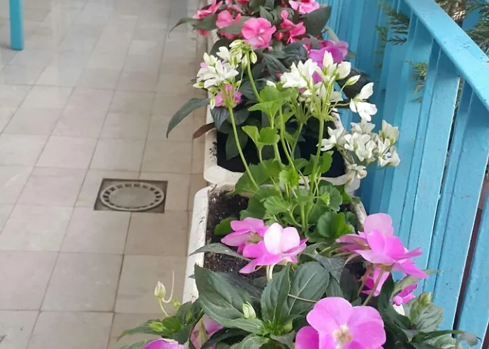 Boutique Szálloda 3*